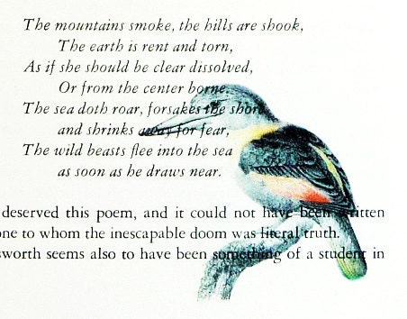 Vintage Book print art birds print recycled book page upcycled art