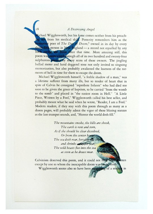 Vintage Book print art birds print recycled book page upcycled art
