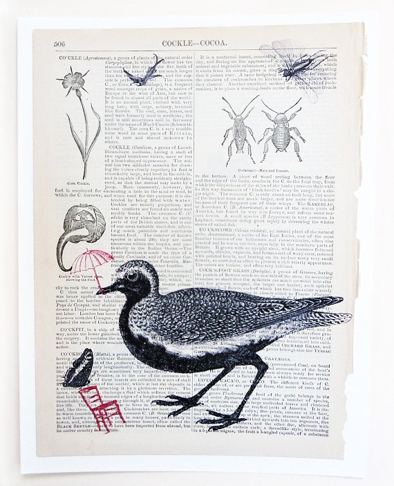 Vintage Dictionary Page Art Birds Print Recycled Book Page Upcycled Altered Art