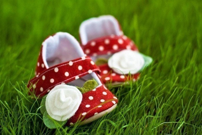 sweet strawberries dotty-janes