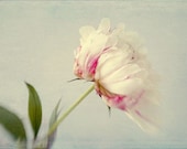 5 x 5 or 5 x7 Print, Photograph of Your Choice