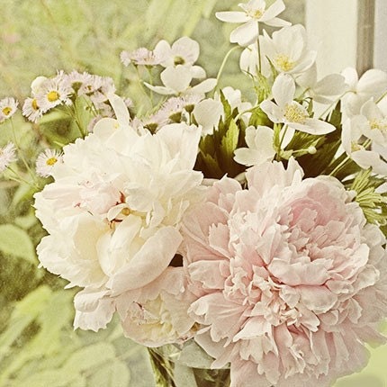 Peony Photograph Still Life, Flower Photography, Spring Boouquet, Shabby Chic Wall Decor, French Country Home