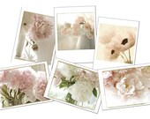 Greeting Card Set, Six Shabby Chic Flower Cards, Blank Cards, Monochromatic Flower Photographs, Sepia, Peony, Tulip, Poppy Nature Photos