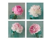 Four Peony Photographs, Modern Wall Decor, Nature Photography, Floral Art Print, Flower Still Life Photos, Botanical Print,