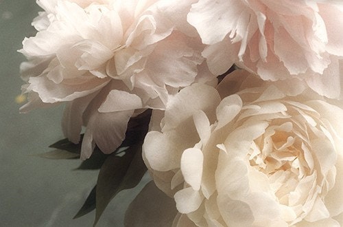 Peony Photograph, Flower Photography, Shabby Chic Wall Decor, French Country Still Life