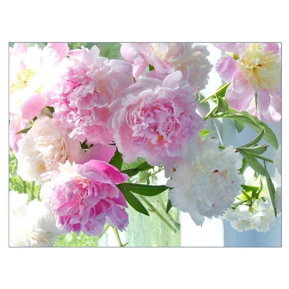 Peony Card, Mothers Day Card, Photo Card, Blank Flower Greeting Card, Pink Peony
