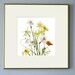Daffodils Botanical Print, Flower Photograph, Title Spring Garden, Scanned Flowers, Shabby Chic Wall Art,