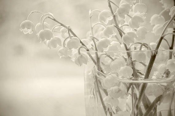 Sepia Still Life Print, Lily of the Valley,  Fine Art, Monochromatic Flower Photography, Botanical Art, Shabby Chic Wall Decor,