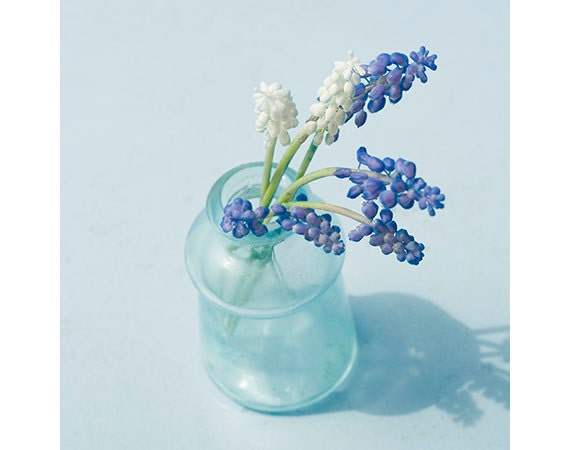 Flower Photographs Wall Decor, Still life Photos, Little Bouquets, Four Fine Art Prints, Botanical Art Prints, Shabby Chic Wall Art
