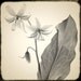 Sepia Botanical Art Prints, Monochromatic Wall Decor, Scanned Flowers and Foliage, Shabby Chic Home