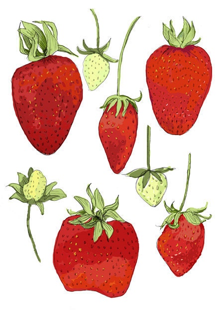 Strawberries -  6 greeting cards
