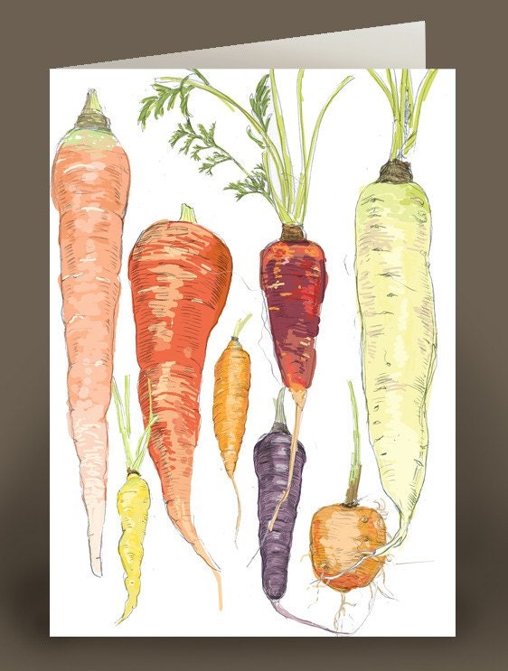 Carrots -  6 greeting cards