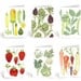Farm Fresh Spring Vegetables -  6 assorted greeting cards