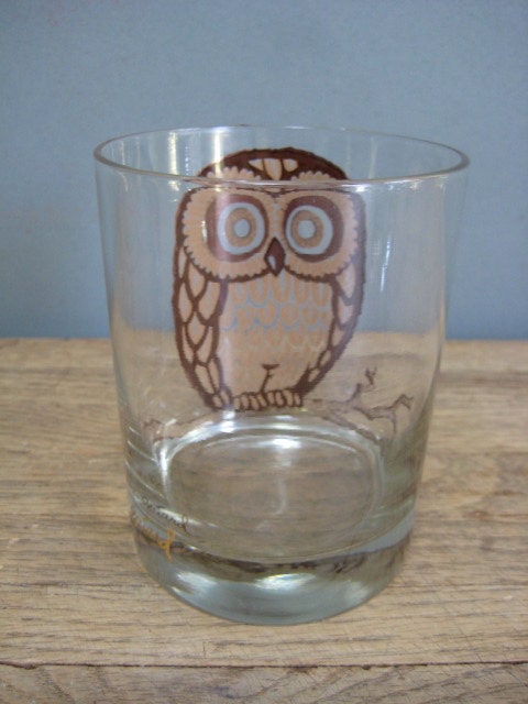 Vintage Owl Drinking Glasses by Georges Briard