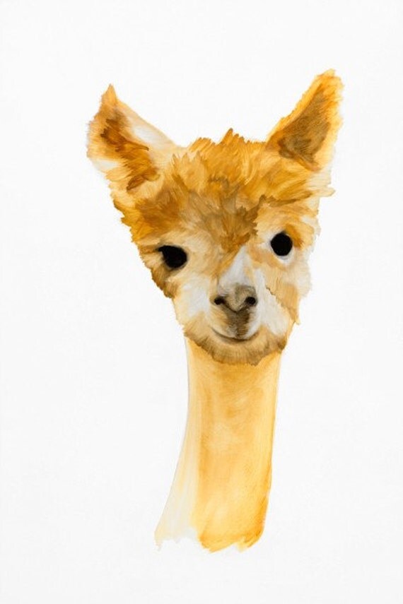 o.g.alpaca
