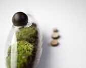 Living Vessel