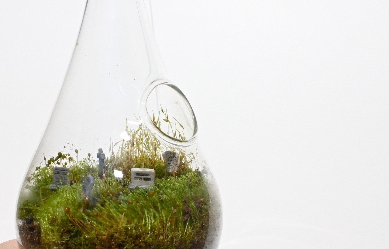 Eerie Cemetery MOSS DROP Hanging Terrarium  KIT
