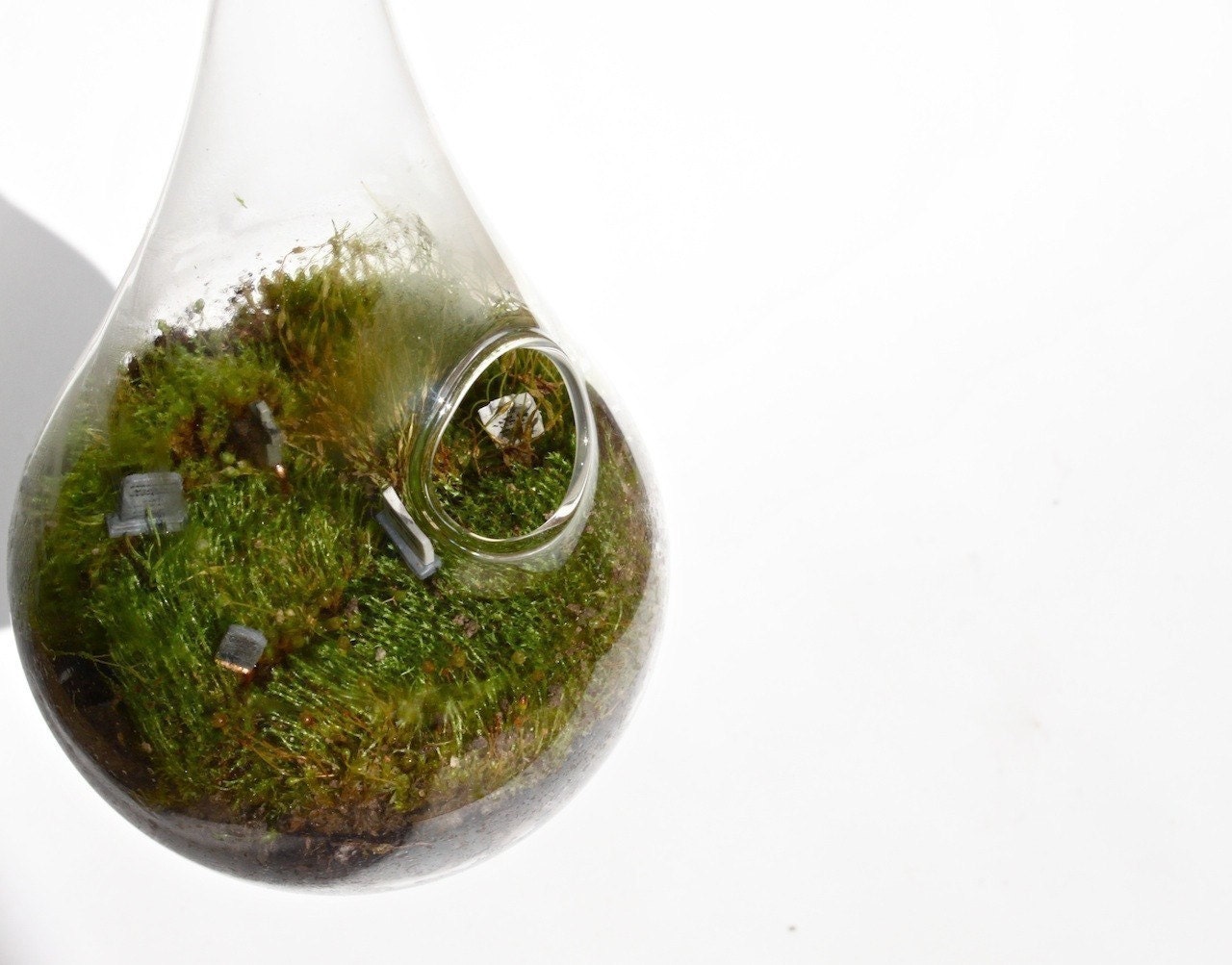 Eerie Cemetery MOSS DROP Hanging Terrarium  KIT