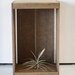Natural Wood Apple Crate