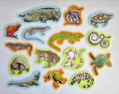Felt Board Set, Reptiles and Amphibians