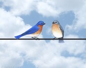 bluebirds and blue sky - digital illustration art print 8X10 inches, bird couple clouds white nature picture