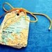 Vintage Map Gift Tags - Set of 20 - Atlas Pages