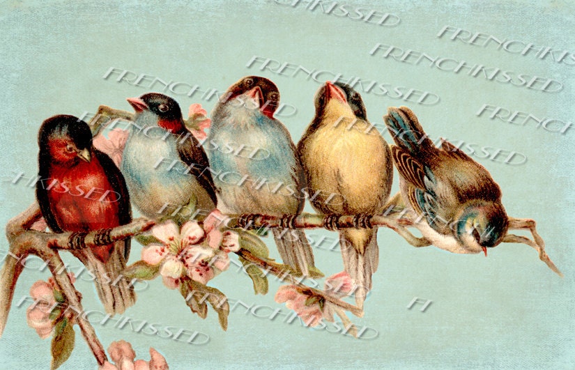 Instant Download RAINBOW of BIRDS Blue Altered Antique postcard