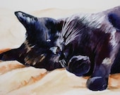 Black Cat Sleeping fine art giclee print