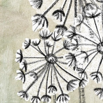 Some see wishes