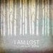 I Am Lost Without You