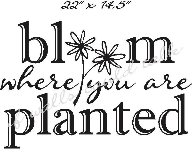 Bloom Flower vinyl lettering, wall words, decal