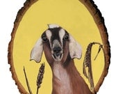 Putting the Goat in Goatee print 8x10