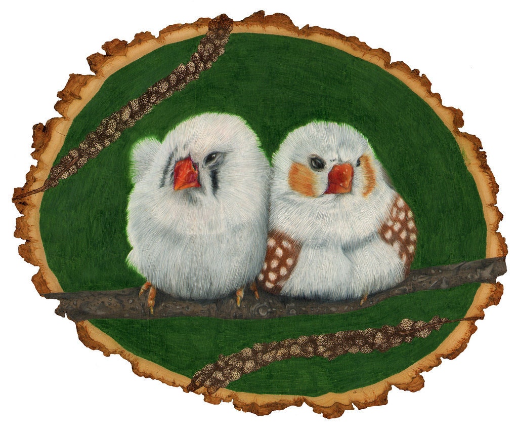 Beep meep moop Original Art Illustration Zebra Finches 9x11