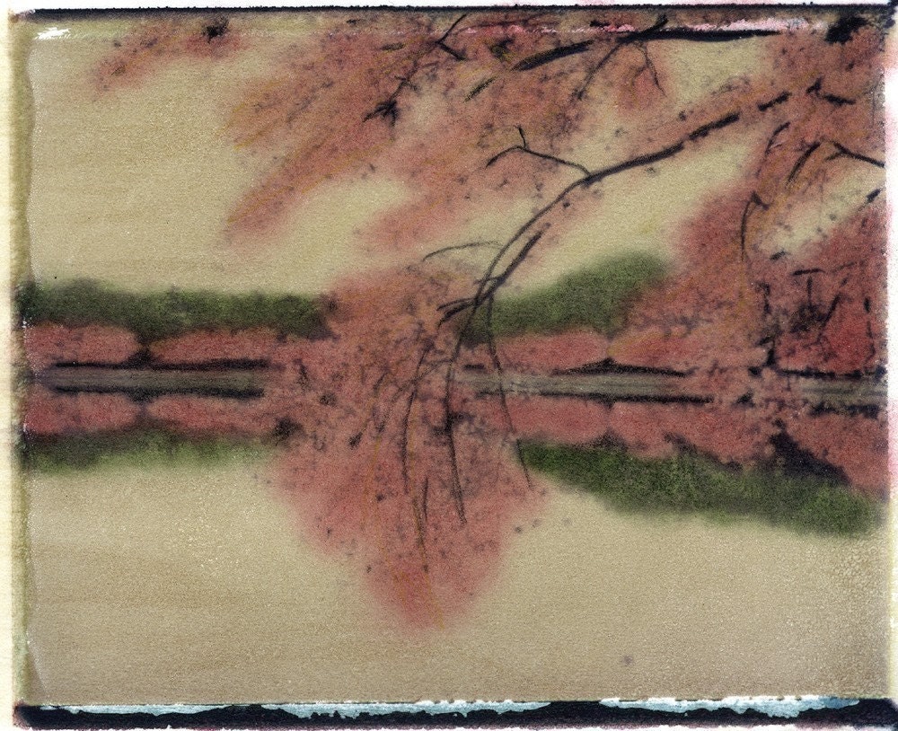 SALE -- Cherry Blossoms, Pink, Flowers, Trees, Tidal Basin, Washington DC, Water, Spring, Jefferson Memorial, travel, Framed Print