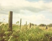 FREE SHIPPING Under a Country Sky - 8x8 photo - country, polaroid, summer, sky, green grass, queen annes lace, shabby chic decor