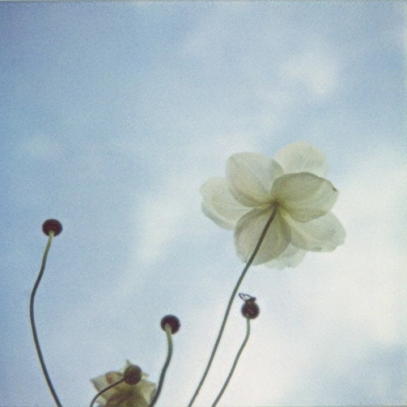 Precious - 8x8 Fine Art Photograph