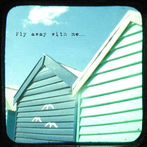 Fly Away With Me - 8x8 Viewfinder Photograph - beach decor, typography, blue, turquoise, summer wall art