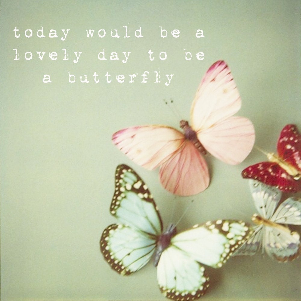 SALE Today Would be a Lovely Day to be a Butterfly - 8x8 Fine Art Photograph