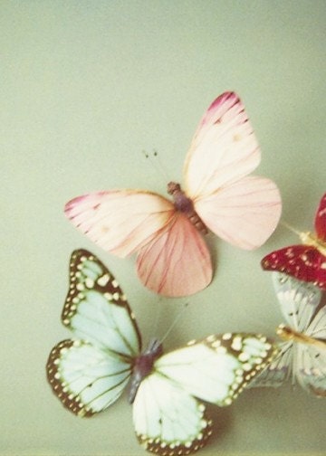 Pastel Butterflies set of 3 whimsical 5x7" photos- girls room, nursery, room decor pastel pink, green, yellow, blue tones