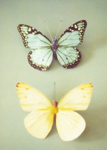 Pastel Butterflies set of 3 whimsical 5x7" photos- girls room, nursery, room decor pastel pink, green, yellow, blue tones