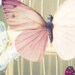 Pastel Butterflies set of 3 whimsical 5x7" photos- girls room, nursery, room decor pastel pink, green, yellow, blue tones