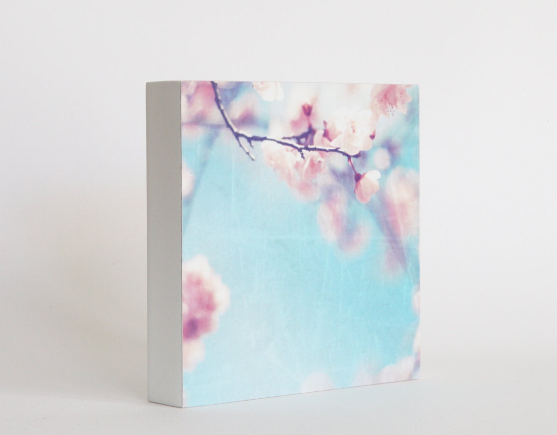 photo art block, pale pink blossoms, blue sky, room decor, spring - whispers - blossom photo block