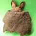 Ophelia the Bat - Small Felt Plush
