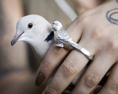 Love Bird Knuckle Duster in Silver