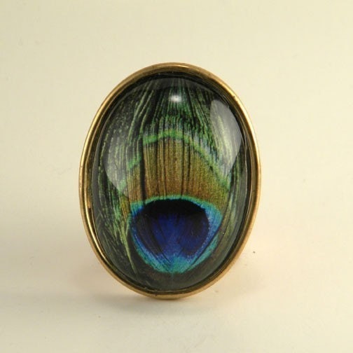 Proud as a Peacock-vintage flapper inspired peacock feather specimen brass brooch pin