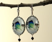 Birds Of A Feather Silver Oval Earrings