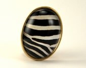 White Stripes Zebra Brooch