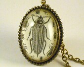 Bed Bugs- vintage inspired insect specimen engraving brass cameo necklace