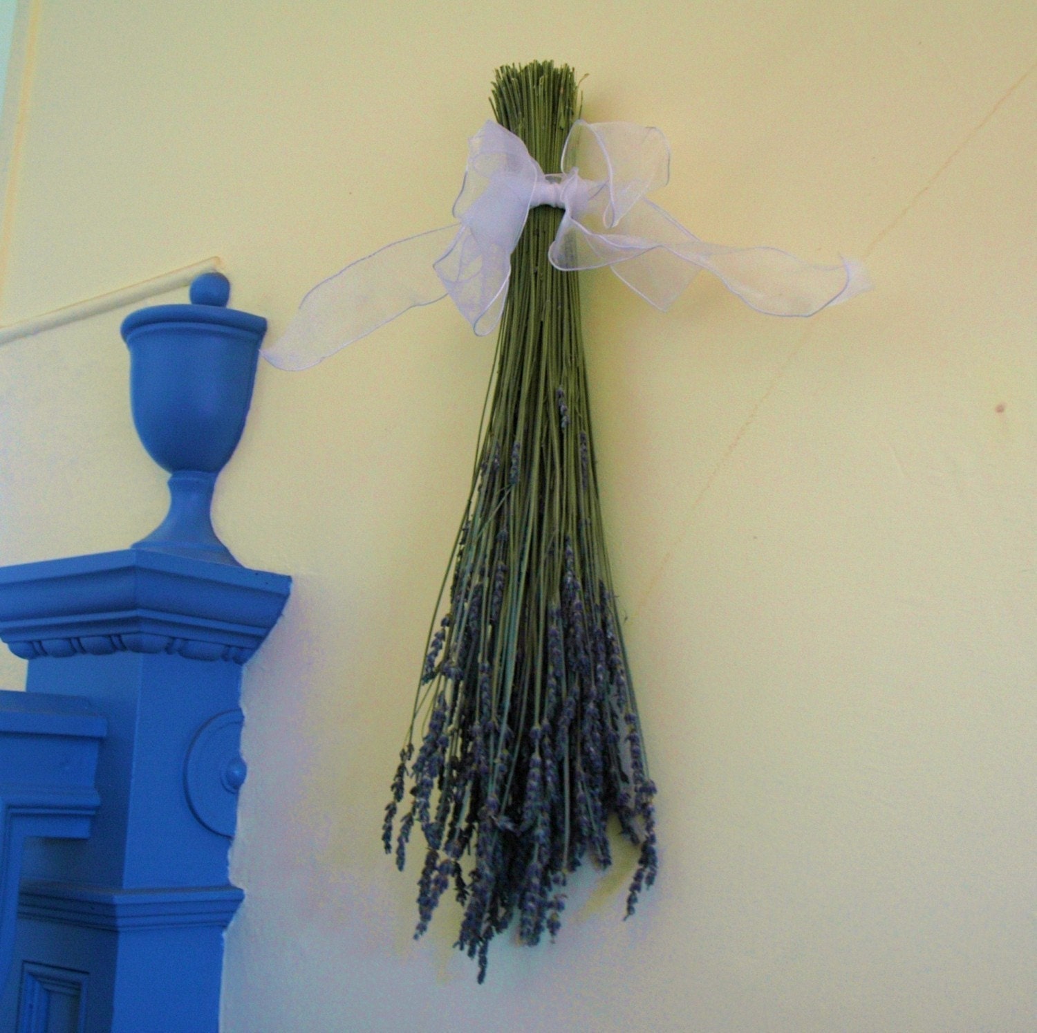 Ooh La La Dried French Lavender Bouquet Bunch with Ribbon Bow To Ship Late July