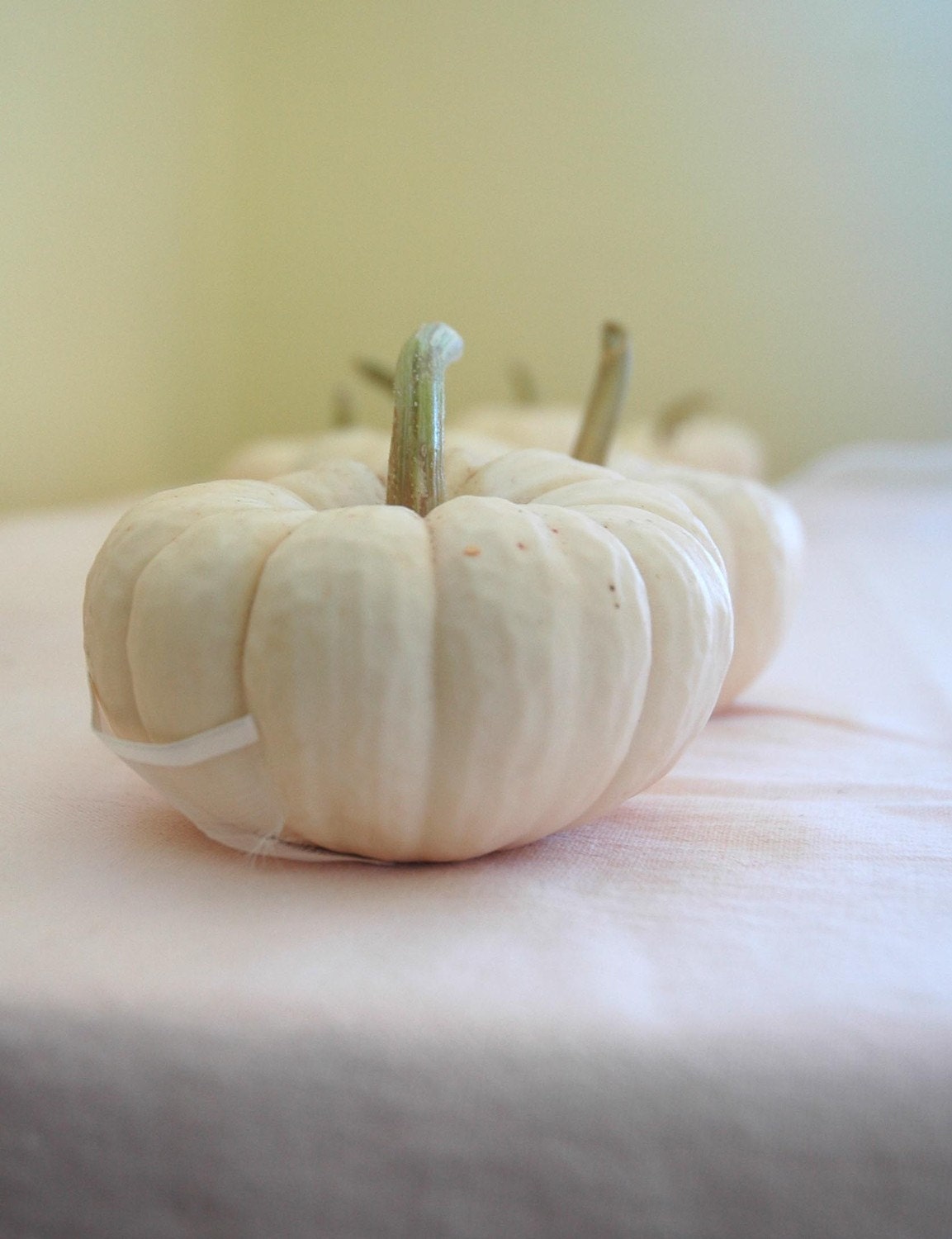 25 Mini Pumpkins